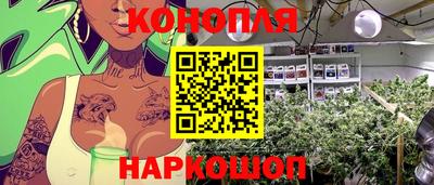 мяу мяу мука Лесосибирск