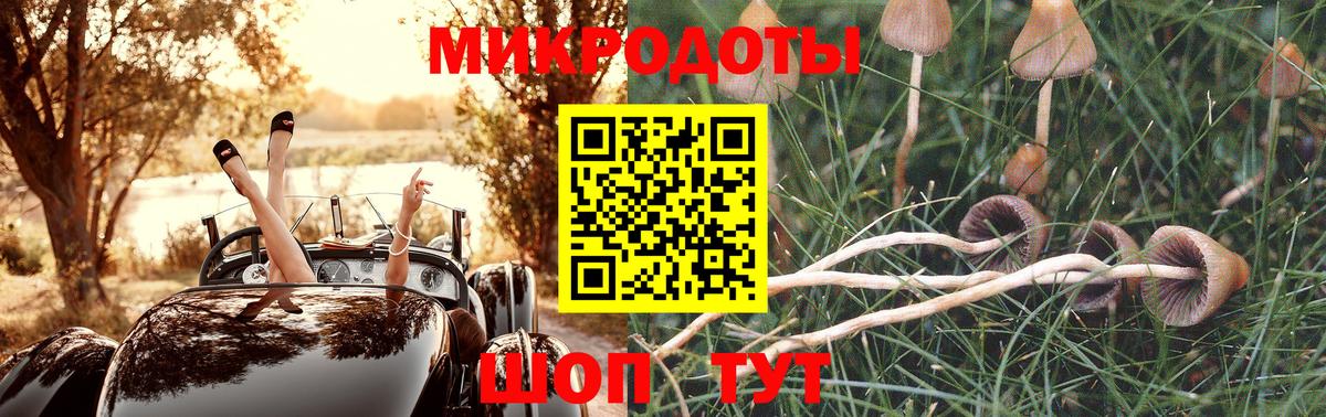 Галлюциногенные грибы Psilocybine cubensis  Вход с VPN  даркнет сайт  Псилоцибиновые грибы Psilocybine cubensis  Дзержинск 