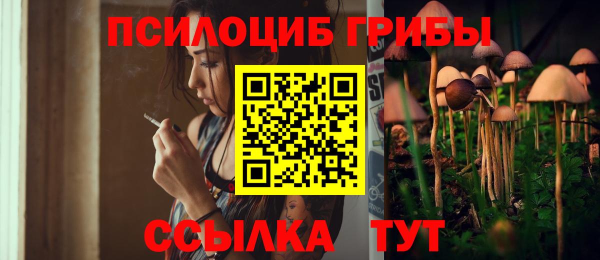 Псилоцибиновые грибы мицелий Дзержинск